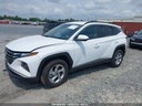 hyundai-tucson-2024-5nmjbcde2rh321685-img02.jpg