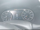 40609005_7_I.jpeg
