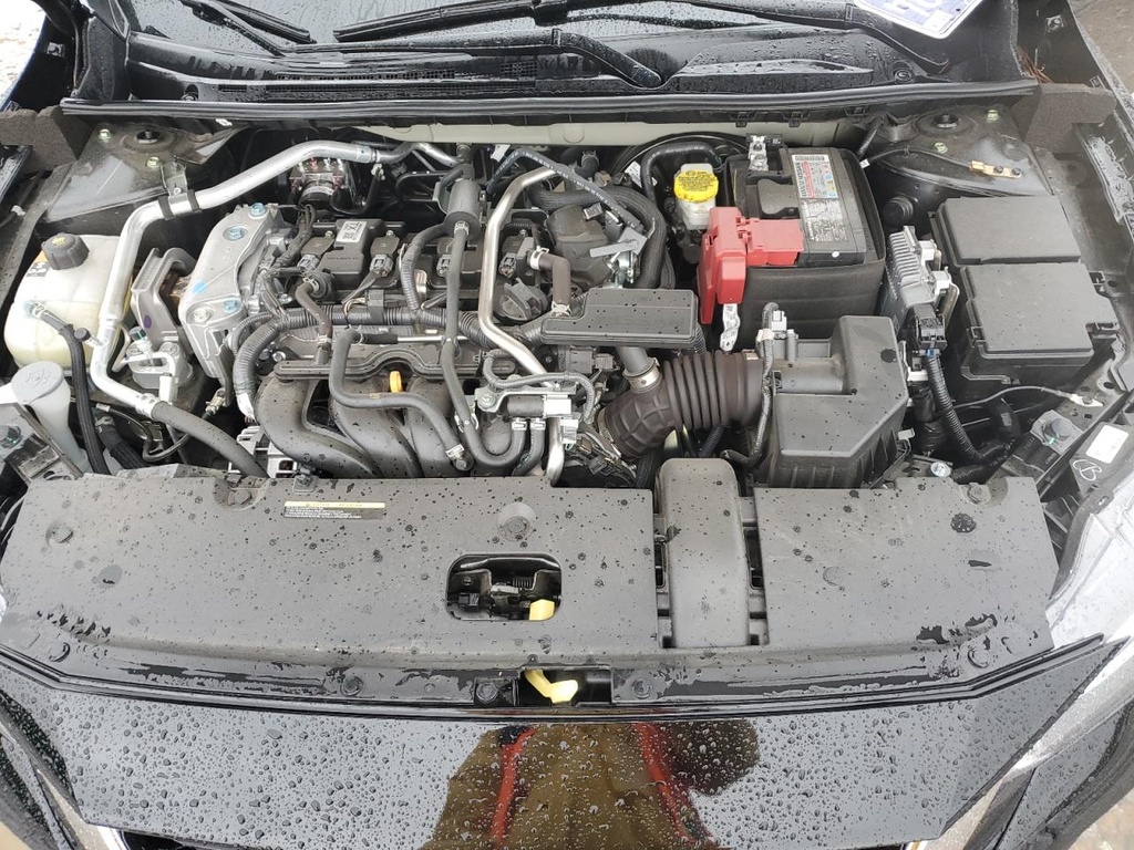 79541464_Image_11.jpg