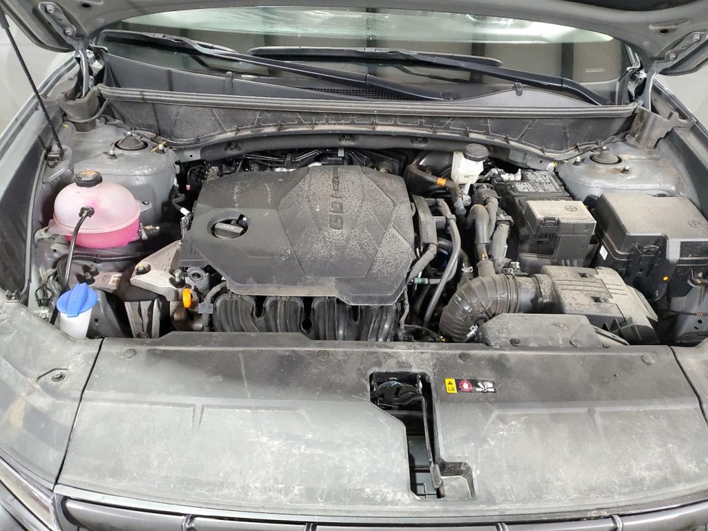 56427935_Image_12.jpg