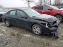 43763745_Image_4.jpg