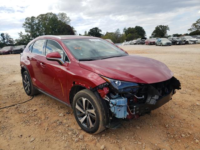 2019 LEXUS NX