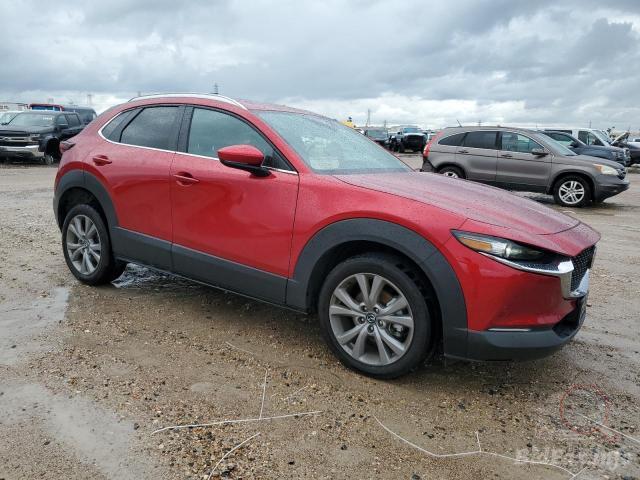 mazda-cx-30-sele-2023-3mvdmbbm8pm526657-img04.jpg