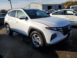 [77852624] 2024 HYUNDAI TUCSON