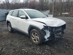 [49236215] 2024 HYUNDAI TUCSON